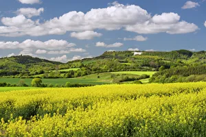 Traditionally English Gallery: The White Horse of Kilburn, The North Yorkshire Moors, Yorkshire, England, United Kingdom
