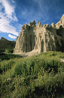 Images Dated 21st January 2000: White House Cliffs