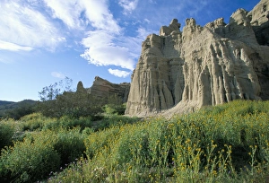 Mojave Desert Prints: White House Cliffs
