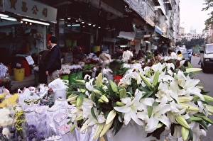 Kowloon Prints: White lilies, flower market, Mong Kok, Kowloon, Hong Kong, China, Asia