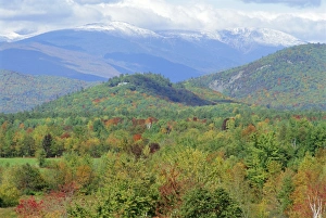 Northeast Prints: White Mountain National Forest