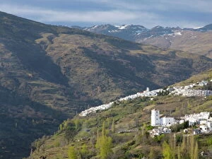 Images Dated 5th April 2008: The white mountain villages of Bubion and Capileira in the heart of the Alpujarras