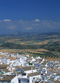 Olvera Prints: White painted houses in the town of Olvera with fields
