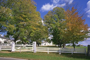 Fences Prints: White picket fence