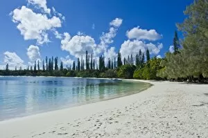 Images Dated 3rd September 2008: White sand beach, Bay de Kanumera, Ile des Pins, New Caledonia, Melanesia, South Pacific, Pacific