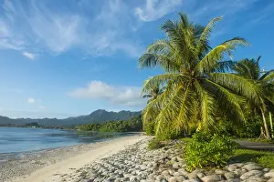 White sand beach, Kosrae, Federated States of Micronesia, South Pacific