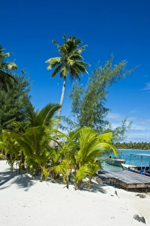 Motu Prints: White sand beach on a Motu, Bora Bora, Society Islands, French Polynesia, Pacific