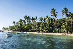 Yasawas Prints: White sand beach, Nanuya Lailai island