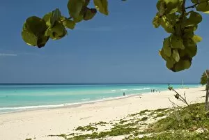 Images Dated 9th April 2007: White sand beach of Playa del Este, Cuba, West Indies, Caribbean, Central America