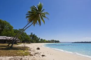South Pacific Gallery: White sand beach in Port Orly, Island of Espiritu Santo, Vanuatu, South Pacific, Pacific