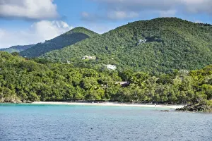 Verdant Prints: White sand beach in St. John, Virgin Islands National Park, US Virgin Islands, West Indies