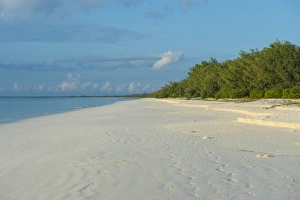 New Caledonia Prints: White sand beach at sunset, Ouvea, Loyalty Islands, New Caledonia, Pacific