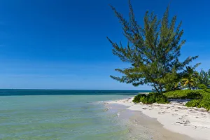 Cayman Islands Prints: White sand beach, Water Cay, Grand Cayman, Cayman Islands, Caribbean, Central America