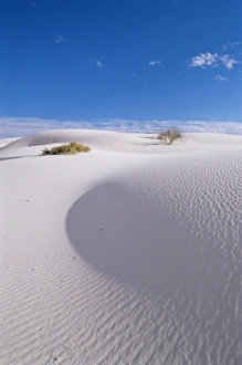 Wasteland Prints: White sand dune