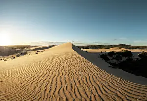 Dunes Prints: White Sand Dunes, Mui Ne, Binh Thuan Province, Vietnam