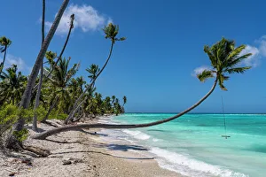 Fakarava Prints: White sand PK-9 beach, Fakarava