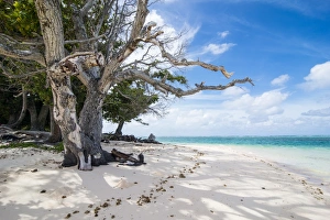 Atoll Prints: White sand and turquoise water at Laura (Lowrah) beach
