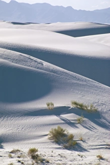 Arid Landscape Prints: White Sands Desert