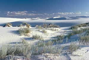 White Sands Desert