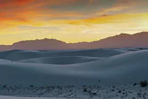 Shrub Collection: White Sands National Park at sunset, New Mexico, United States of America, North America