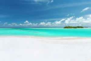 Tropical Climate Prints: White sandy beach lagoon and island, The Maldives, Indian Ocean, Asia