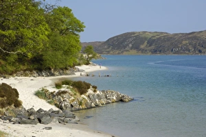 Highlands Prints: White sandy beach, Morar, Highlands, Scotland, United Kingdom, Europe