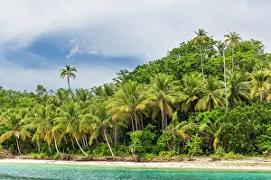 Coconut Prints: White sandy beaches and coconut trees on Batu Hatrim