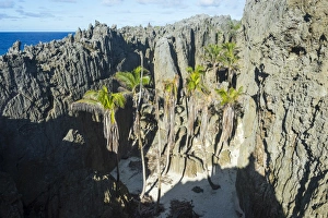Niue Prints: White soft sand in the Togo chasm, Niue, South Pacific, Pacific