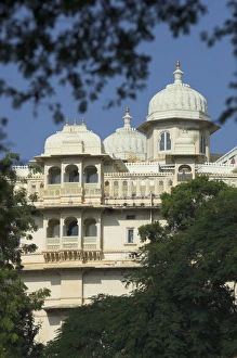 City Palace Prints: White southern facade of City Palace viewed through trees