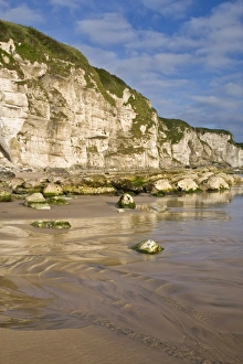Images Dated 23rd July 2008: Whitepark Bay, County Antrim, Ulster, Northern Ireland, United Kingdom, Europe