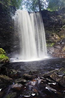 Cascading Prints: Whitfield Gill Force near Askrigg