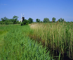 Wicken Fen and Wind pump, Cambridgeshire, England