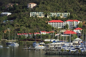 Virgin Islands Prints: Wickhams Marina in Road Town, Tortola