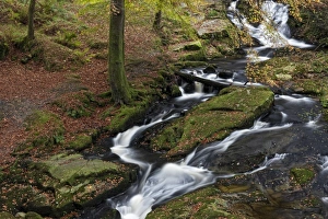 Leinster Prints: Wicklow Mountains, County Wicklow, Leinster, Republic of Ireland, Europe