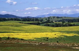 Wide open rolling landscape, hills and valleys between Beechworth and Everton