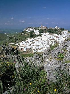 Hill Village Prints: Wild flowers and white village with Moorish castle