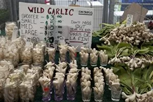 Images Dated 3rd June 2009: Wild garlic for sale, Ottawa, Ontario, Canada, North America