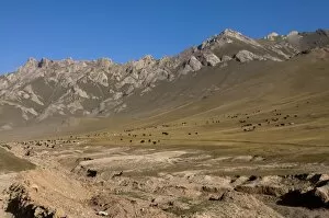 Wild horses and mountains of Sary Tash, Kyrgyzstan, Central Asia, Asia