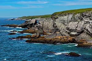 Newfoundland And Labrador Prints: Wilderness area, Mistaken Point