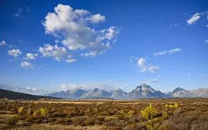 Willow Flats and Teton Range, Grand Tetons National Park, Wyoming, United States of America