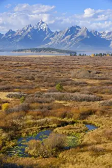 Jagged Prints: Willow Flats and Teton Range, Grand Tetons National Park