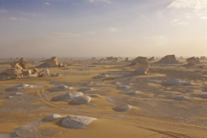 Images Dated 18th February 2007: Wind-eroded sculptures of calcium rich rock in The White Desert near Bahariya