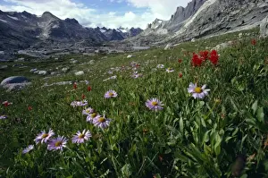 Spring Prints: Wind River Range, Wyoming, United States of America (U