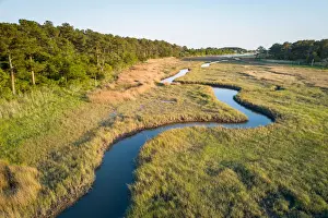 Virginia Prints: Winding creek through Chesapeake Bay salt water marsh near Hampton, Virginia