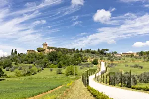 Pienza Prints: Winding path and cypress trees leading to Palazzo Massaini under blue skies near Pienza