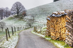Winding road and wood pile near St. Trudpert Monastery, Munstertal, Black Forest, Baden-Wurttemberg, Germany, Europe