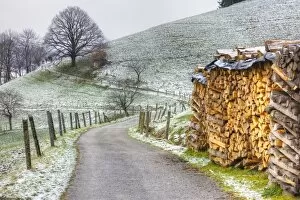 Images Dated 13th December 2010: Winding road and wood pile near St. Trudpert Monastery, Munstertal, Black Forest