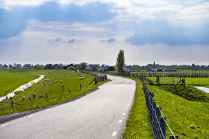Ovis Aries Prints: Winding rural road along the Zuiderdijk, Oosterleek, North Holland, Netherlands, Europe