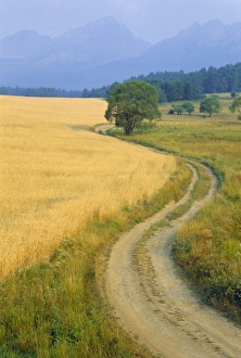 Curving Prints: Winding track