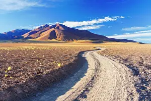 Dirt Prints: Winding track across the Andean altiplano, Puna, Argentina